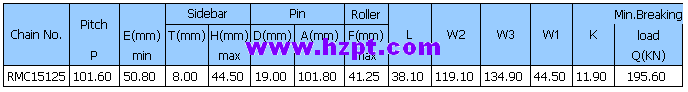 Paver chain RMC15125