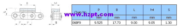 Roller Chain with Vulcanised Elastomer Profiles 06BF9