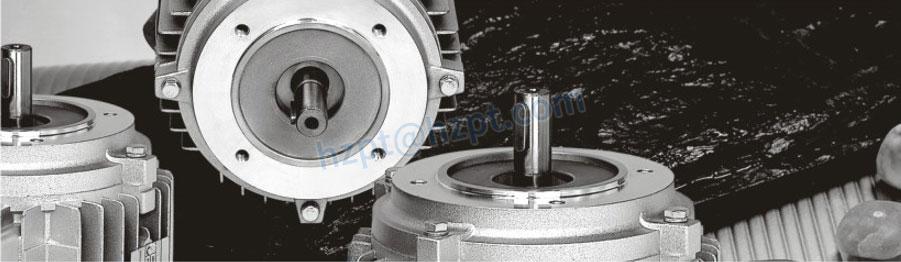 YS Series Electric Motor