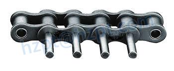 Conveyor Chains with Special Extended Pins