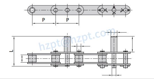 Double Pitch Conveyor Chains with Extended Pins
