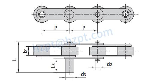 Double Pitch Conveyor Chains with Extended Pins