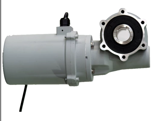 XRV050 Worm Gearmotor