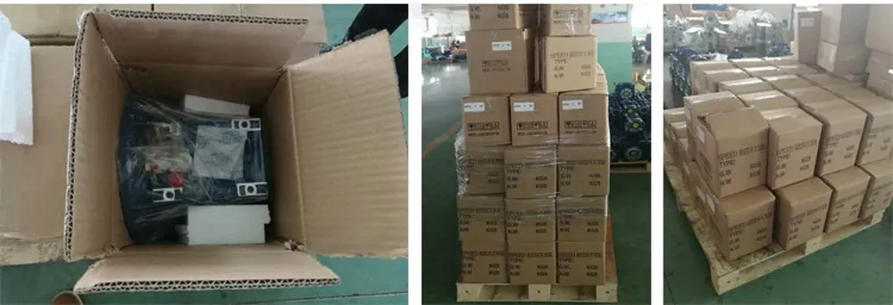 Single Shaft Input Worm Gearbox Packing and Transportation