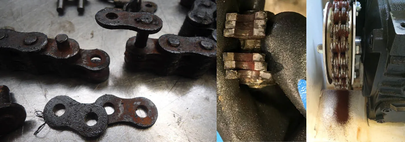 Stainless Steel Leaf Chain Inspection