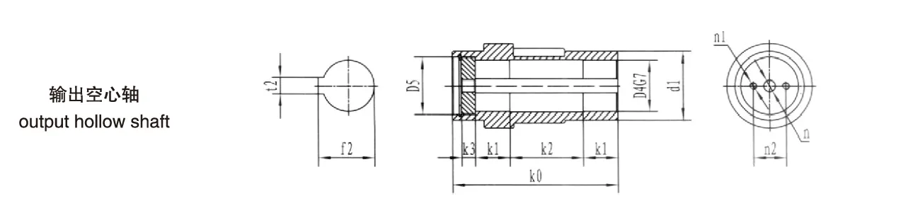 DX60 Series Shaft Mounted Gearbox Output Hollow Shaft