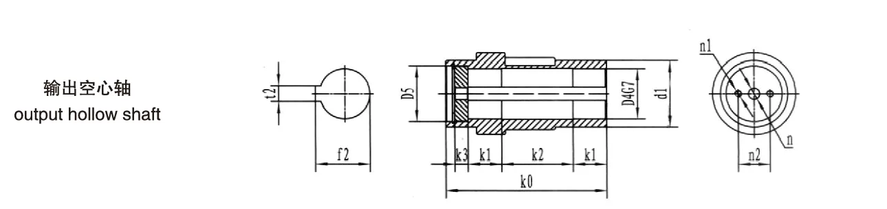 DXG80 Series Shaft Mounted Gearbox Output Hollow Shaft