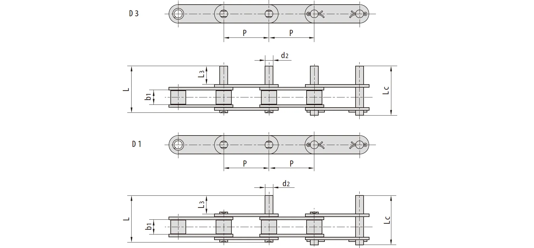 Specifications of Stainless Steel Double Pitch Conveyor Chains with Extended Pins
