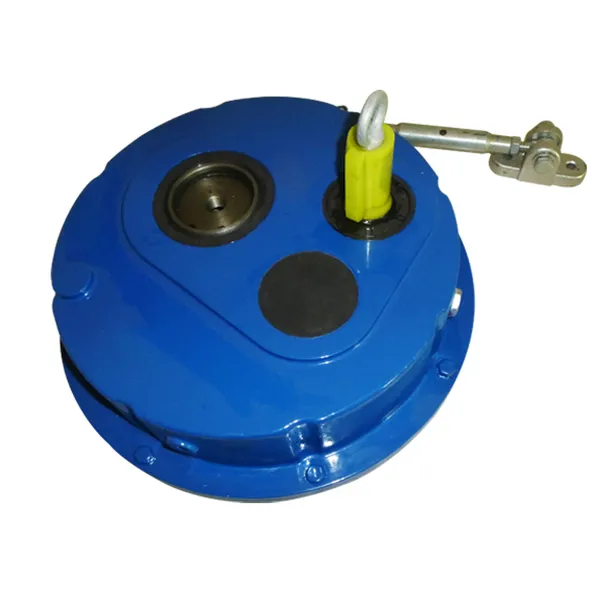 DXG100-DXG100 D Series Shaft Mounted Gearbox