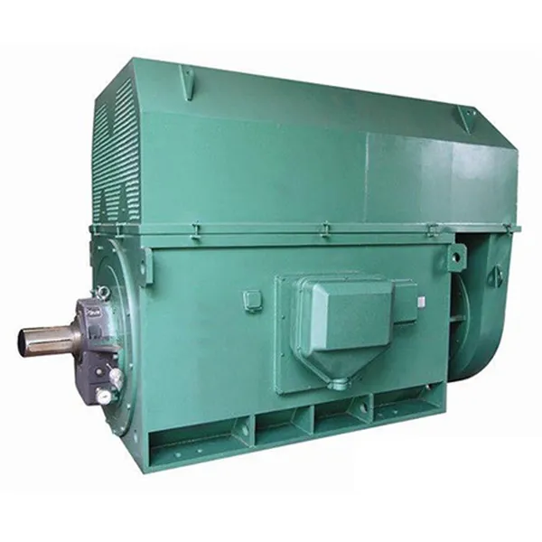 Y Series High Voltage Three-Phase Asynchronous Motor (6KV)
