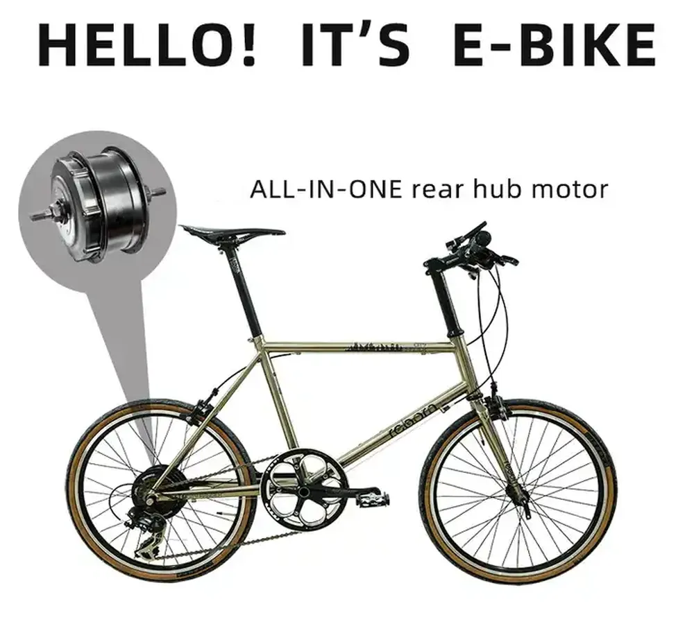 Rear Hub Motor System