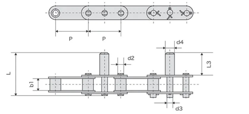 SS Double Pitch Conveyor Chain
