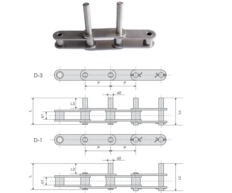 Stainless Steel Double Pitch Conveyor Chain with D1 D3 Extended Pins