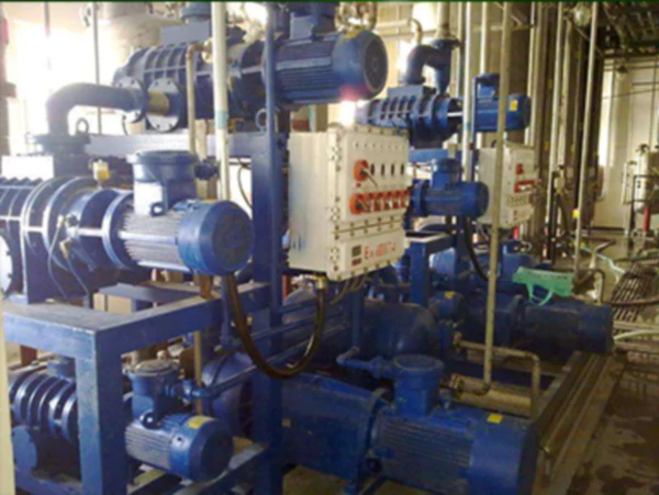 ZJB-300 Roots Vacuum Pump Application Scene