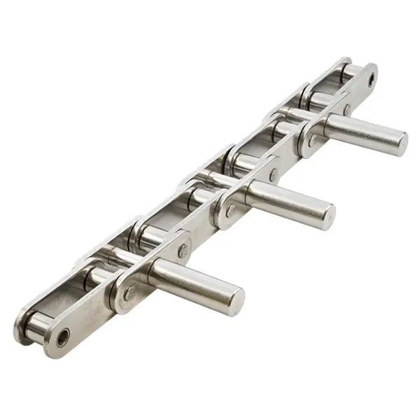 C220AHLSS/C2102HSS Stainless Steel Double Pitch Conveyor Chain with D1 D3 Extended Pins