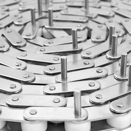 C220AHLSS/C2102HSS Stainless Steel Double Pitch Conveyor Chain with D1 D3 Extended Pins