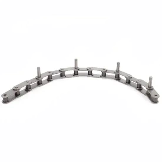 C220AHLSS/C2102HSS Stainless Steel Double Pitch Conveyor Chain with D1 D3 Extended Pins