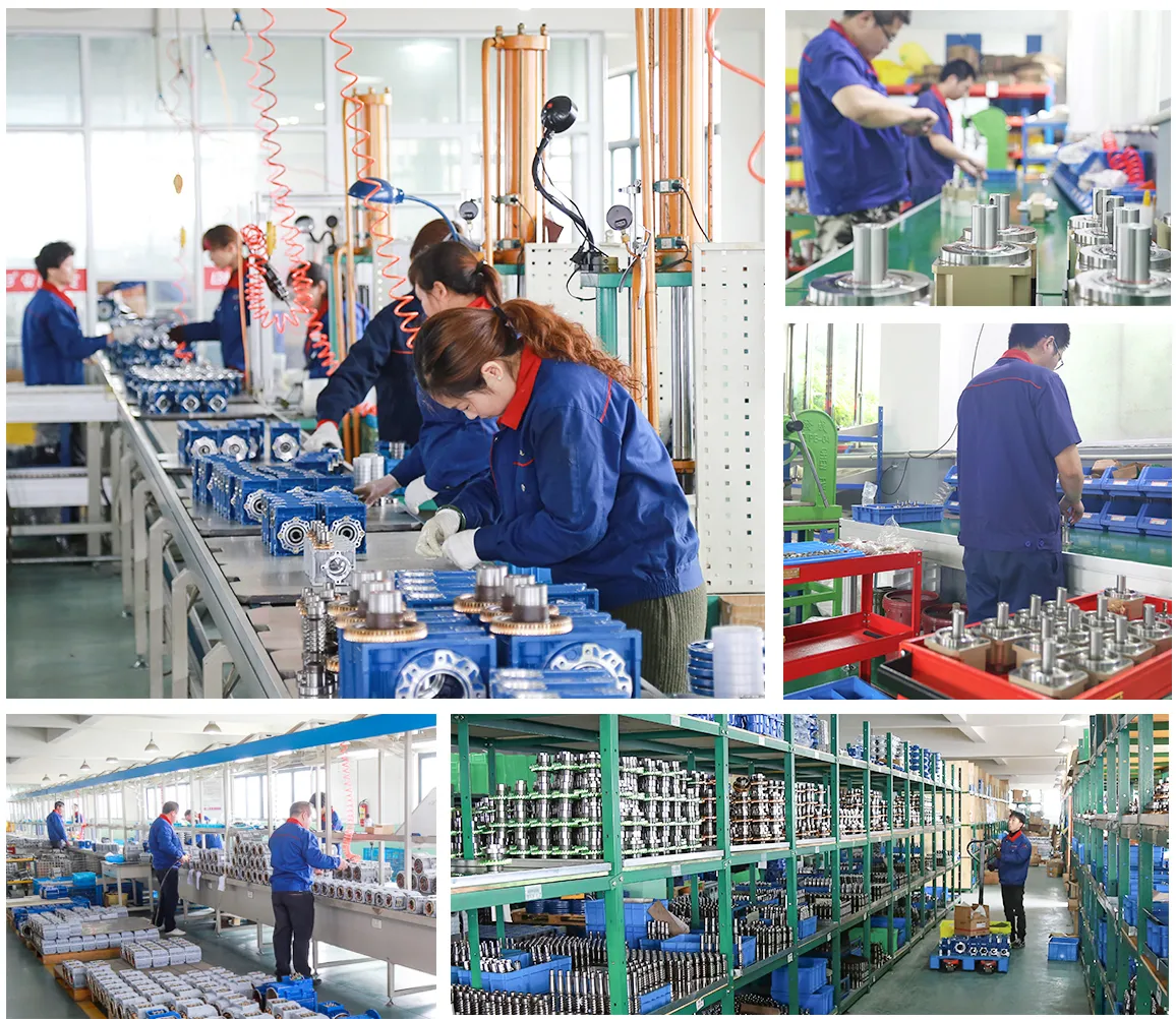 Hangzhou Ever-power Factory