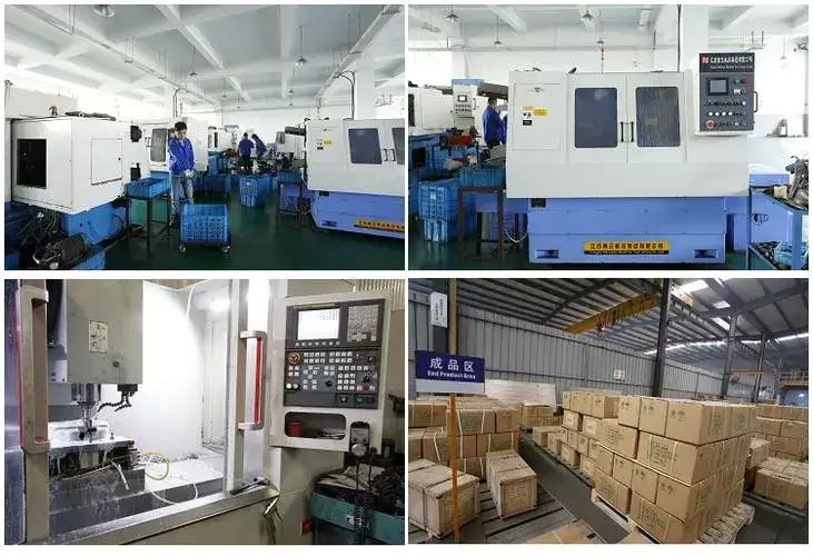 Our Company