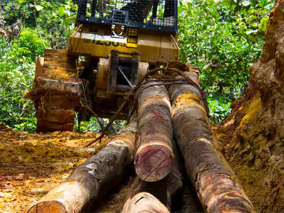 Forestry & Logging Winch
