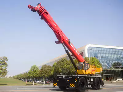 cranes 