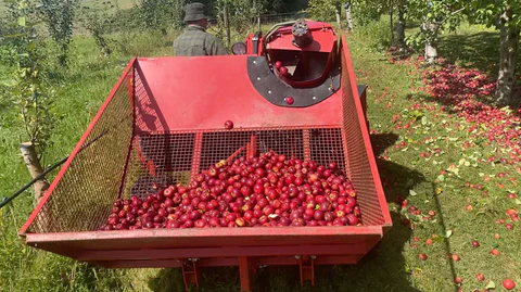 wheel drive Apple harvester machine
