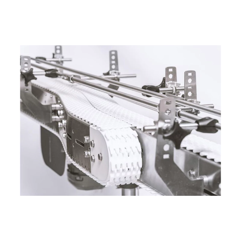 Plastic Conveyor Chains application